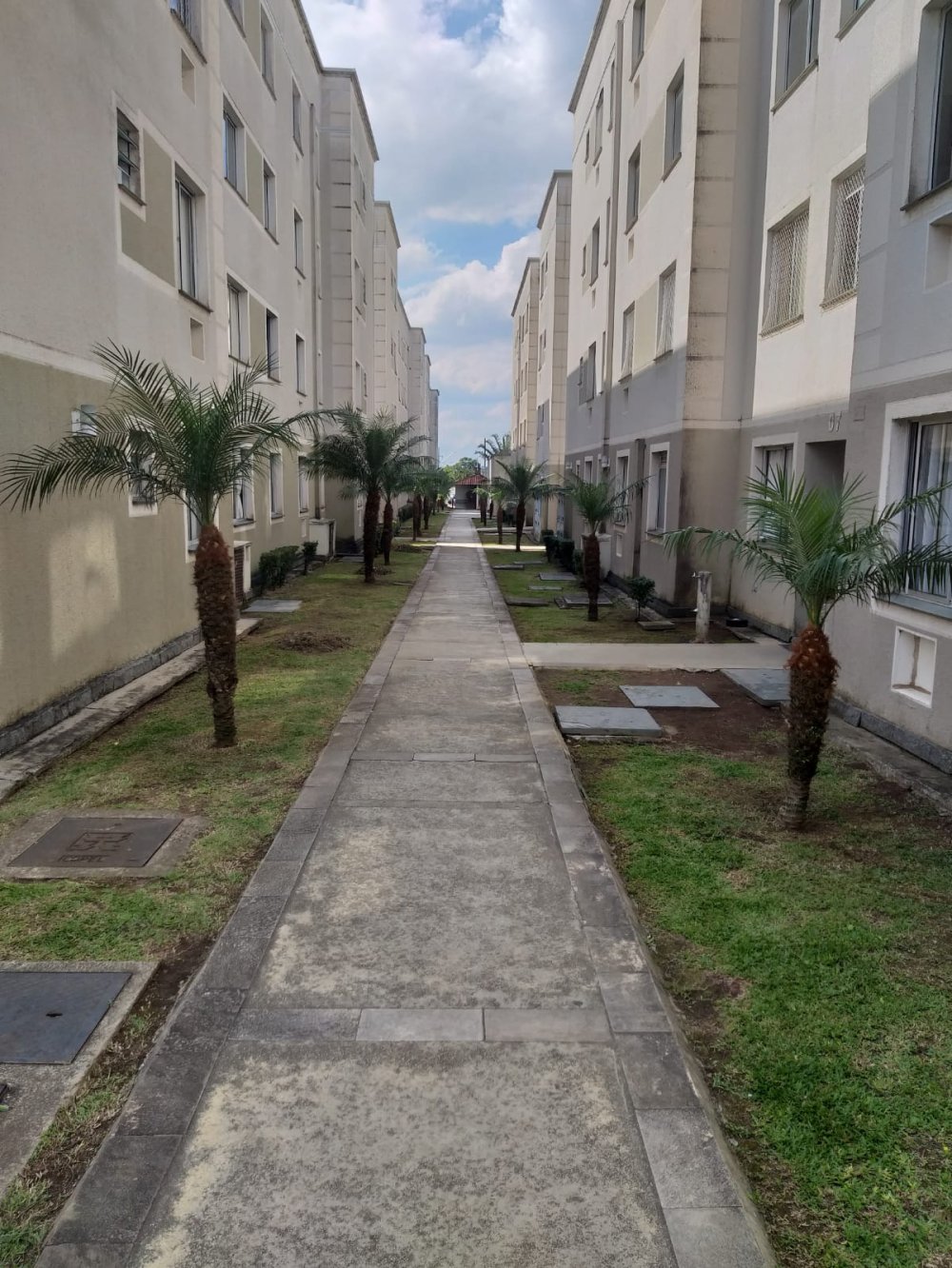 Apartamento - Venda - Cachoeira - Araucria - PR